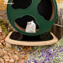 Base stable Niteangel pour roue hamster Cloud Series améliore la sécurité du habitat.