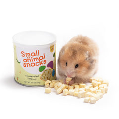 Niteangel Tofu lyophilisé 5 mm – emballage pratique pour une dégustation simple