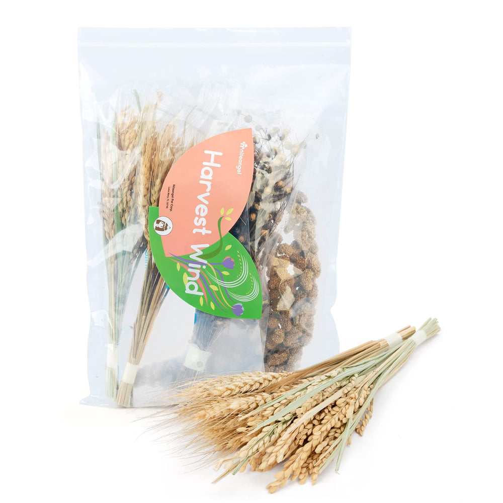 Niteangel Vent de Recolte - fleurs seches, decor naturel pour cage de petit animal