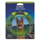 Collier NiteHowl pour chien lumineux, visibilité accrue lors des promenades nocturnes.