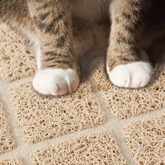 Niubya Tapis Litière, fond imperméable et antidérapant pour stabilité au sol.