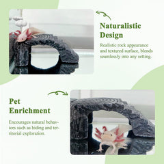 NIUOHOY design-naturel-habitat-aquarium — ambiance naturelle pour observation