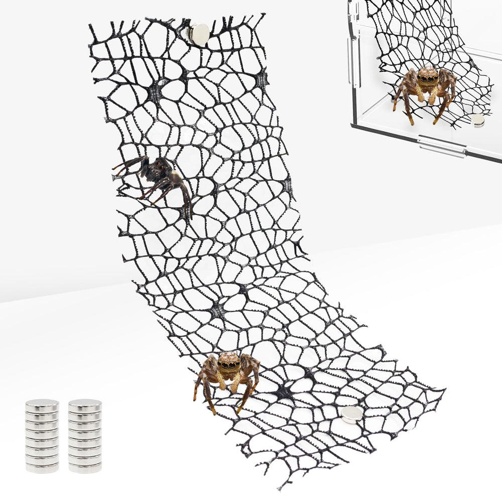 Niuohoy ensemble 6 accessoire tarantule pour décorer et optimiser l'habitat