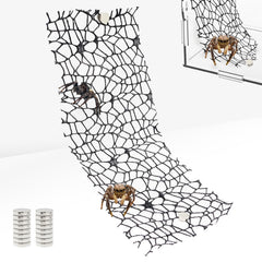 Niuohoy ensemble 6 accessoire tarantule pour décorer et optimiser l'habitat