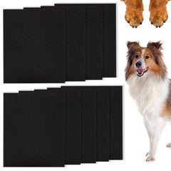 Niuohoy papier sablage grain fin chien : ponçage en douceur des griffes.