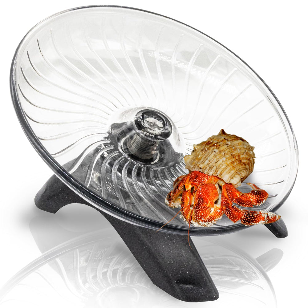 Roue d'exercice NIUOHOY pour crabe ermite, activité physique quotidienne.