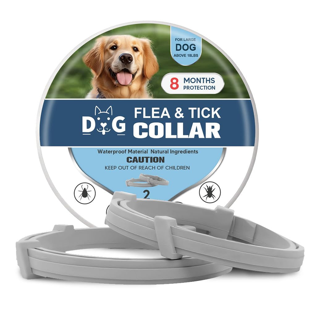 Collier NJKPUYT pour chiens autour du cou, prévention des puces et tiques.