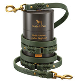 Noah et Paw laisse cuir premium huile-wax, profil élégant et durable pour promenades quotidiennes