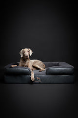 NOAH ET PAW lit chien XL, couverture intérieure amovible et lavable