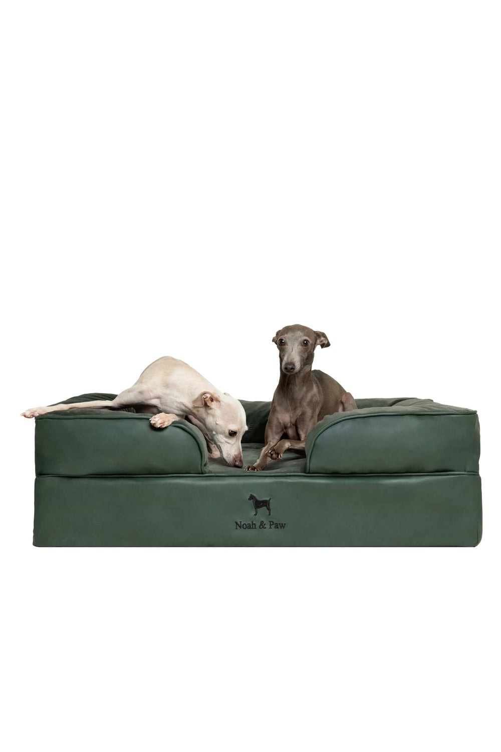 NOAH & PAW grand lit chien 35x25, soutien orthopédique et confort durable.