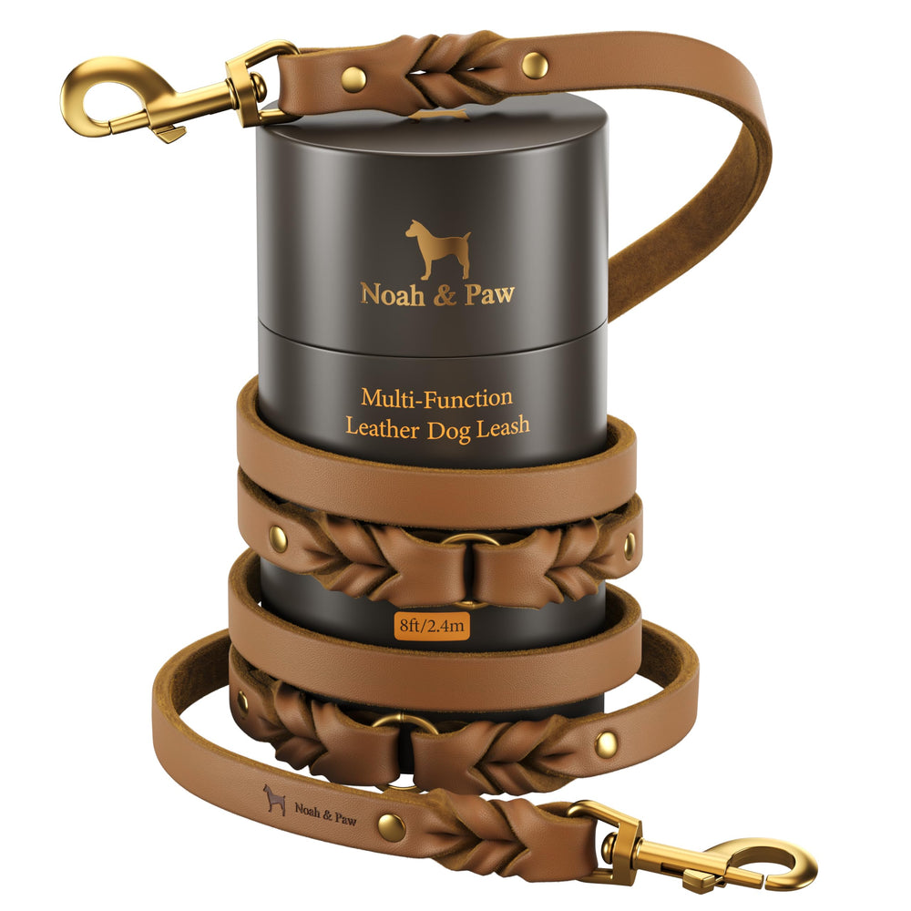 NOAH & PAW laisse cuir huile-wax tressé, 8 pieds, promenades confortables.