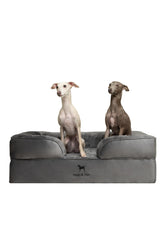 NOAH & PAW base orthopedique 6po: soutien durable pour chien
