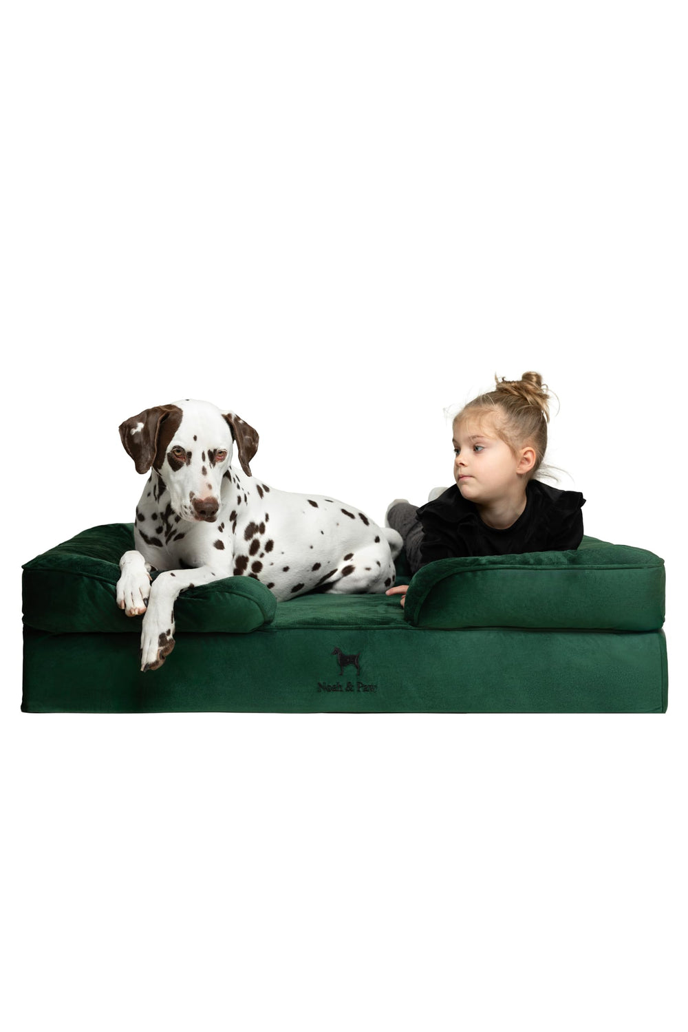 NOAH & PAW lit-chien-xl orthopédique mémoire gel rafraîchissant pour le repos.