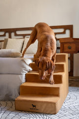 NOAH & PAW Rampe lit 20 pouces très large, pratique pour salons et chambres