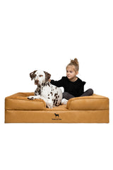 Noah & Paw XL: lit chien mémoire-gel-refroidissant pour un confort durable.