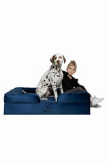 NOAH & PAW XL lit orthopédique: soutien dorsal pour grandes races.