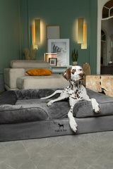 NOAH & PAW XL – oreiller de soutien 5 pouces pour le confort des articulations.