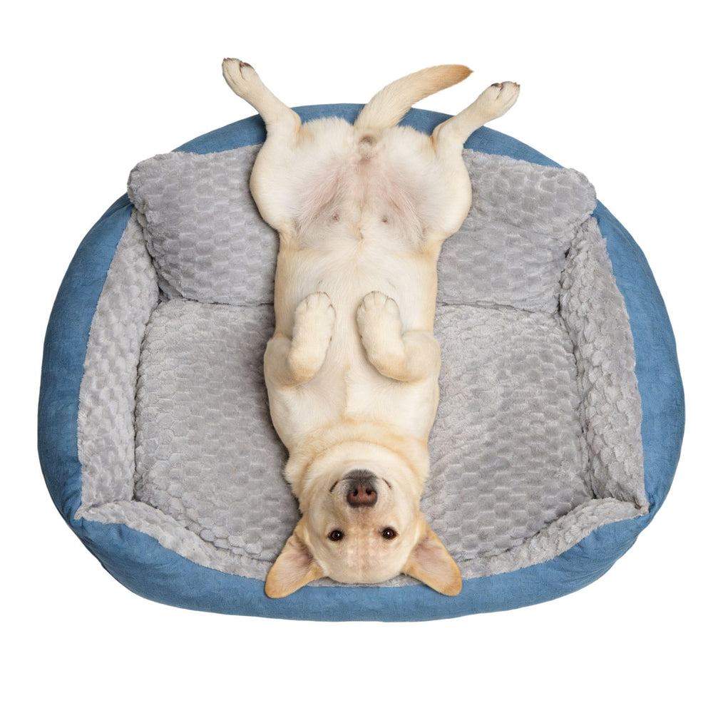 NOFKYNOXA Grand Lit Chien – vue d’ensemble montrant confort et sécurité pour chiens lourds.