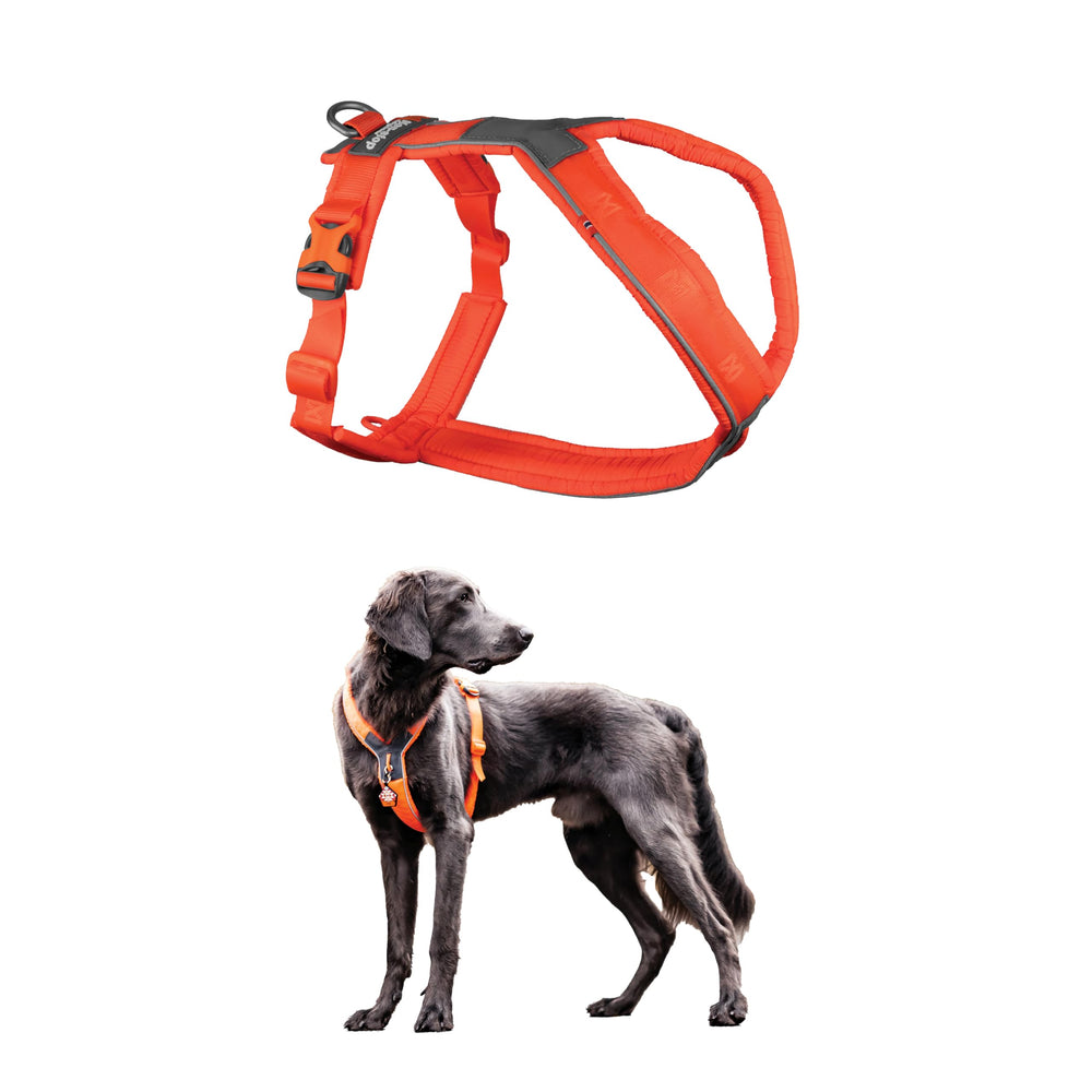 Harnais Line 5.0 de Non-stop dogwear avec conception en Y offrant liberté d'épaule.