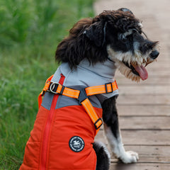 Détail de la fermeture-col sécurisée du manteau Norbi pour chien