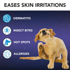 NOVEHA Hydrocortisone 1% – application chez le chien soulage démangeaisons