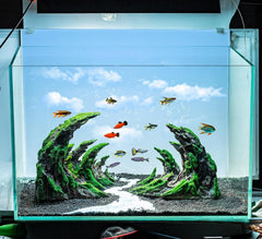 Novelsite decor-aquarium-pierre-naturelle, texture naturelle et touche réaliste.