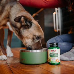 NOW Pets CardioSoutien: antioxydants et extraits botaniques.