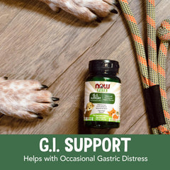 NOW Pets G.I. Support, certification NASC assurant traçabilité et sécurité du produit.