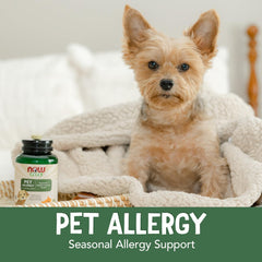 NOW Pets quercétine – extrait naturel mis en avant dans la formule.