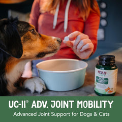 NOW Pets UC-II, badge NASC, assurance qualité pour animaux.