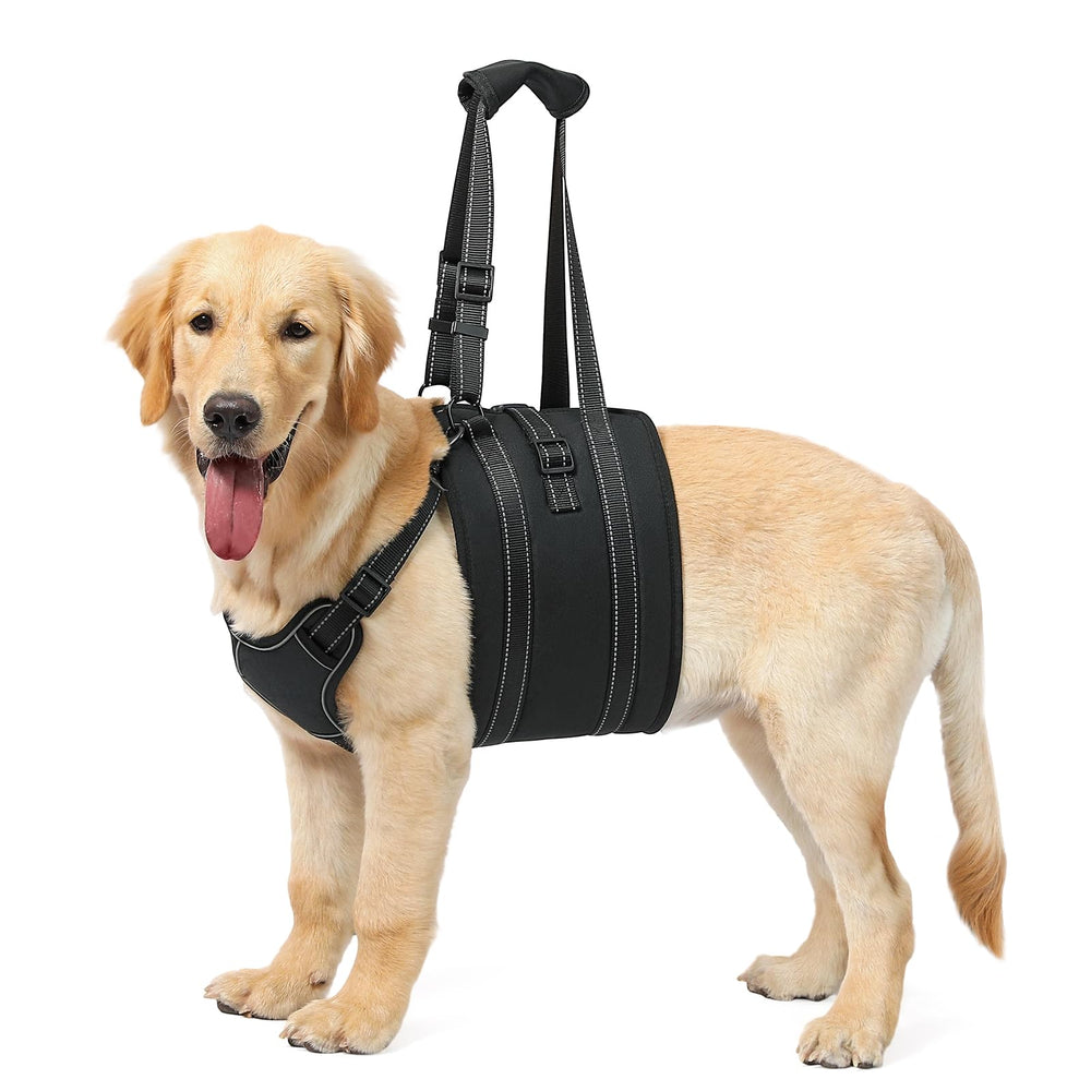 NOYAL Harnais de levage pour chien soutient les pattes arrières pour monter les escaliers.