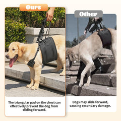 NOYAL harnais-lift chien, systeme-attache-double pour un ajustement sûr.