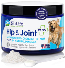 NuLife Glucosamine: poudre pratique en bouteille 6oz prête à soutenir la mobilité du chien.
