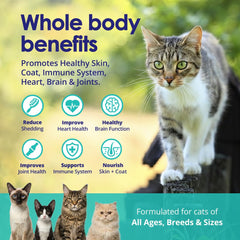 NuLife Omega3 Chat — huile de saumon sauvage pour peau saine et pelage brillant.