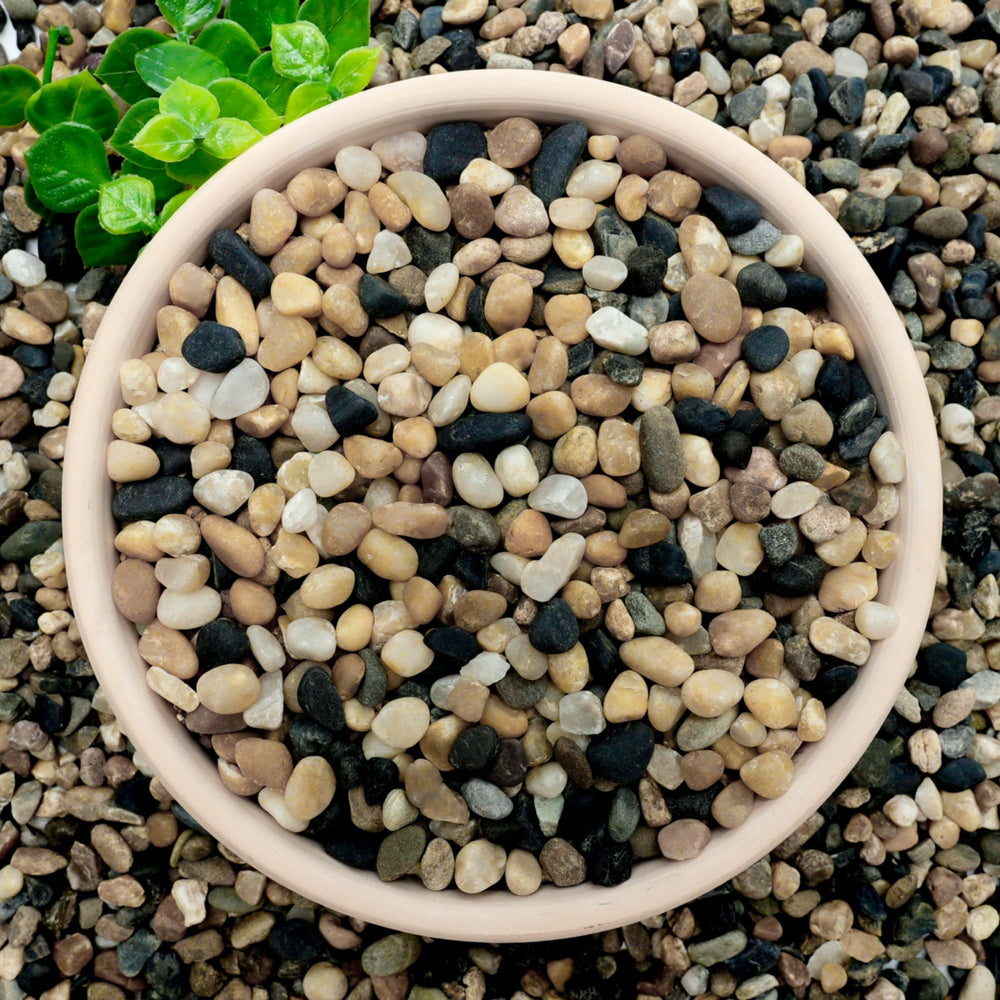 Gravier NUPICK pour aquarium, texture naturelle et neutre, base décorative