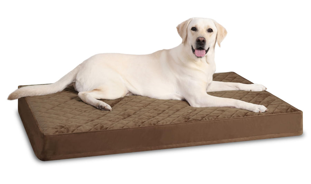 NUPIDA lit chien XL imperméable avec housse amovible pour entretien facile