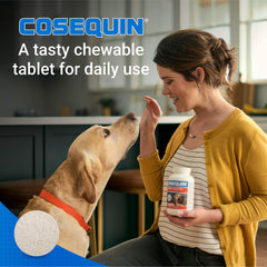 Nutramax Cosequin – acide hyaluronique soutenant le liquide articulaire.