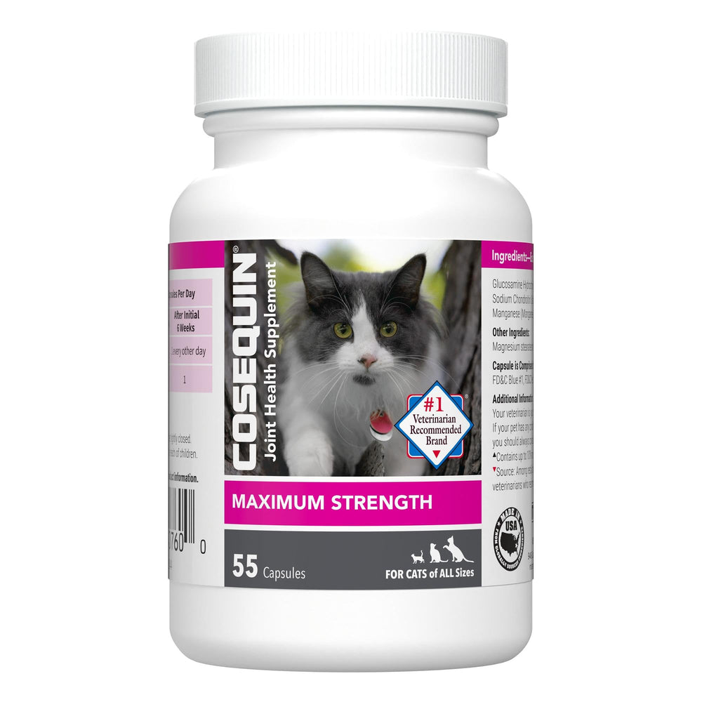 Nutramax Cosequin pour Chats: bouteille visible pour soutenir les articulations et la mobilité.
