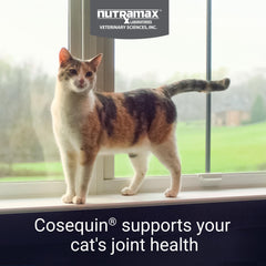 Nutramax Cosequin pour chats - poudre à saupoudrer sur la nourriture, intégration facile.