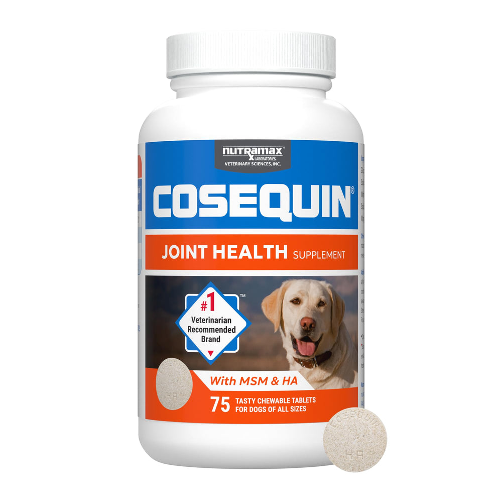 Cosequin Nutramax pour chiens: tablettes à croquer faciles à administrer au quotidien.