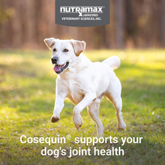 Nutramax Cosequin – glucosamine, chondroïtine et MSM pour le mouvement.