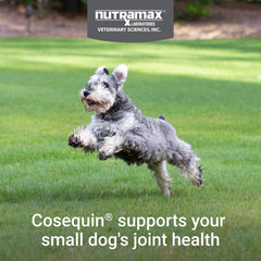 Nutramax Cosequin Plus MSM & Boswellia Mini, ingrédients clés pour la mobilité.
