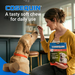 Soutien des articulations et tissus conjonctifs chez le chien.