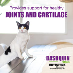 Nutramax Dasuquin chat, ingrédients clés glucosamine et chondroïtine pour les articulations.