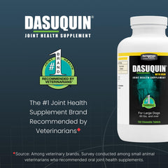 Nutramax Dasuquin grand chien – chien reçoit le complément dans une routine quotidienne.