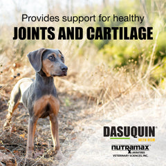 Nutramax Dasuquin, formule patente fchg49-trh122-nmx1000, ingrédients clés.