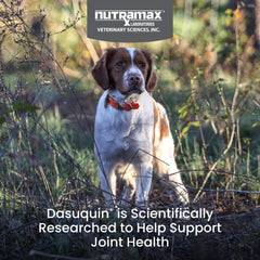 Tablettes mâchables Nutramax Dasuquin, goût agréable pour chiens