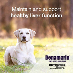 Denamarin Nutramax: comprimés à mâcher chien, pratique et appétents.