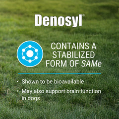 Nutramax Denosyl tablettes santé cerveau, soutien cognitif possible pour chiens