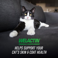Nutramax Welactin – doseur, facilité d'administration sur le repas du chat.